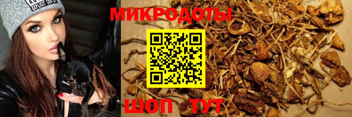 Асино  Псилоцибиновые грибы GOLDEN TEACHER  Вход с VPN 