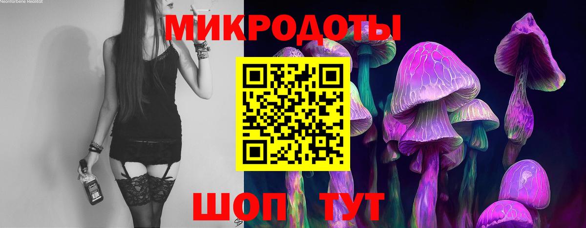 Псилоцибиновые грибы мухоморы Асино